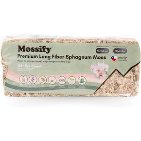 Mossify Premium sphagnum Moss للنباتات 150g ، 5.3 أوقية - طحالب للنباتات الداخلية والخارجية - الاحتفاظ بالرطوبة والطحيل المثالي - مثالي للزواحف ، والبستنة ، والموئل النظيفة ، والموئل النظيف