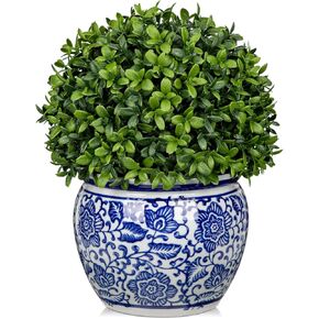 DILATATA Preserved Boxwood Ball in Blue and White Ceramic Pot, Boxwood in Planters Preserved Plant Topiary for Table Centerpiece Indoor Plant Home Decor