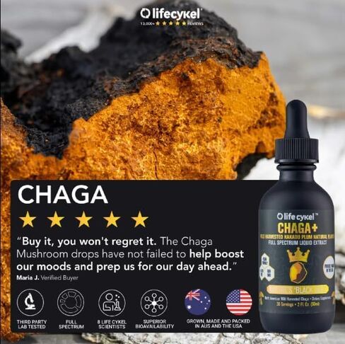 مستخلص فطر LIFE CYKEL Chaga مع برقوق كاكادو - فطر عضوي 100%، مكمل لدعم المناعة، مضادات أكسدة عالية، فيتامين C، دعم مضاد للشيخوخة، يساعد على التعب - 2 أونصة سائلة in Kuwait