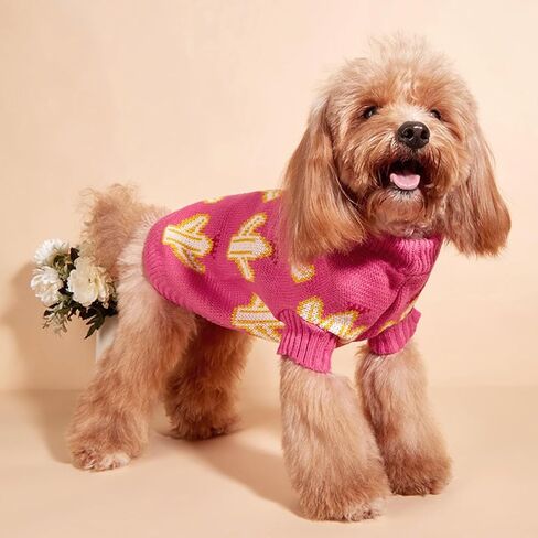 Jecikelon متماسكة الكلب الصغيرة سترة الصبار ناعم جرو ملابس متماسكة الشتاء سترة Pet Petlover دافئة للكلاب صغيرة القطط ملابس الملابس (صغيرة ، خضراء) in Kuwait