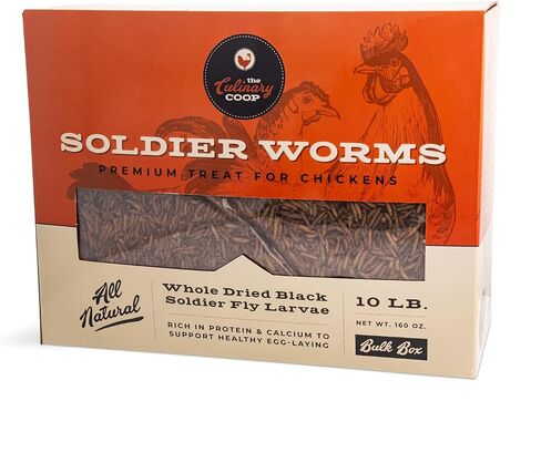 Fluker Coupinary Coop Bulk Soldierwordworms ، ديدان جندي جفاف عضوي ممتاز للبروتين العالي من الدجاج ودجاج أوميغا 3 للطيور البرية ، الزواحف ، ودجاج الدجاج للدجاجات ، 10 رطل ، in Kuwait