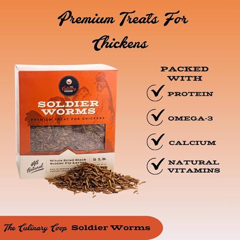 Fluker Coupinary Coop Bulk Soldierwordworms ، ديدان جندي جفاف عضوي ممتاز للبروتين العالي من الدجاج ودجاج أوميغا 3 للطيور البرية ، الزواحف ، ودجاج الدجاج للدجاجات ، 10 رطل ، in Kuwait