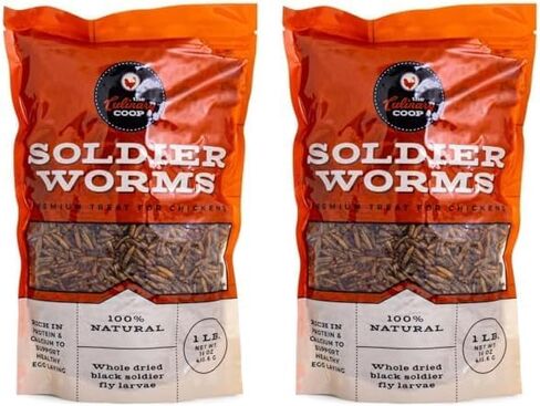 Fluker Coupinary Coop Bulk Soldierwordworms ، ديدان جندي جفاف عضوي ممتاز للبروتين العالي من الدجاج ودجاج أوميغا 3 للطيور البرية ، الزواحف ، ودجاج الدجاج للدجاجات ، 10 رطل ، in Kuwait