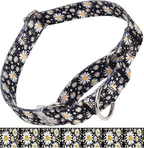 Martingale Collar for Medium Dogs, Girl Dog Collar with Daisy Flowers, Heavy Duty No Pull Dog Collar Floral Design Dog Training Collar, Perfect for Training, Walking, Hunting (Hot Pink, L) in Kuwait