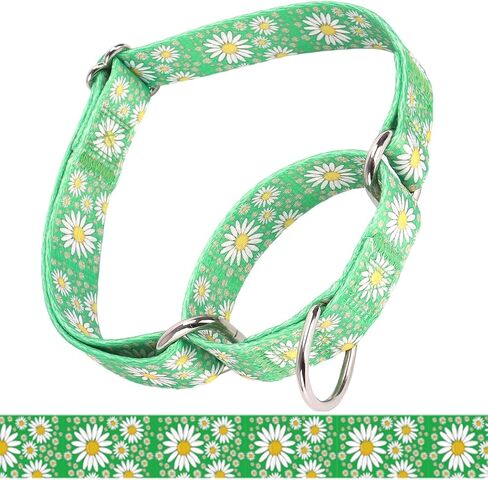 طوق Martingale للكلاب المتوسطة ، طوق الكلب الفتاة مع زهور ديزي ، والخدمة الشاقة لا سحب الكلب طوق تصميم الكلاب ، مثالية للتدريب ، المشي ، الصيد (الوردي الساخن ، ل) in Kuwait