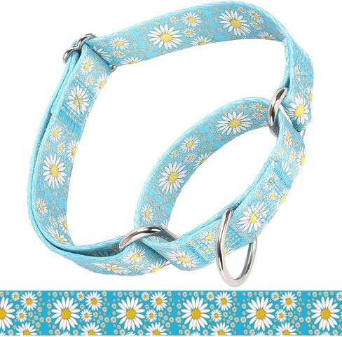 طوق Martingale للكلاب المتوسطة ، طوق الكلب الفتاة مع زهور ديزي ، والخدمة الشاقة لا سحب الكلب طوق تصميم الكلاب ، مثالية للتدريب ، المشي ، الصيد (الوردي الساخن ، ل) in Kuwait