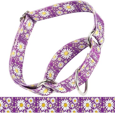 طوق Martingale للكلاب المتوسطة ، طوق الكلب الفتاة مع زهور ديزي ، والخدمة الشاقة لا سحب الكلب طوق تصميم الكلاب ، مثالية للتدريب ، المشي ، الصيد (الوردي الساخن ، ل) in Kuwait