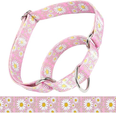 طوق Martingale للكلاب المتوسطة ، طوق الكلب الفتاة مع زهور ديزي ، والخدمة الشاقة لا سحب الكلب طوق تصميم الكلاب ، مثالية للتدريب ، المشي ، الصيد (الوردي الساخن ، ل) in Kuwait