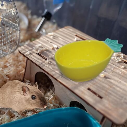 Small Guinea Pig Food Bowl Strawberry-Shaped Cute Ceramic Hamster Water Bowl Ferret Rat Chinchilla Rabbit Feeding Dish Young Animal Feeder(Pink) in Saudi Arabia