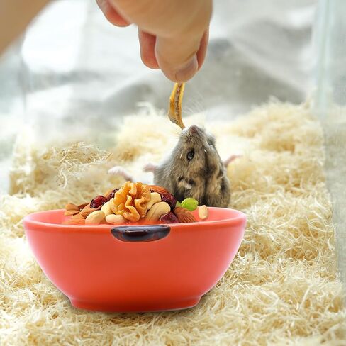 PENCK Small Guinea Pig Food Bowl Apple-Shaped Cute Ceramic Hamster Water Bowl Ferret Rat Chinchilla Rabbit Feeding Dish Young Animal Feeder(Green) in Saudi Arabia
