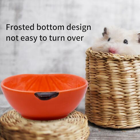 PENCK Small Guinea Pig Food Bowl Apple-Shaped Cute Ceramic Hamster Water Bowl Ferret Rat Chinchilla Rabbit Feeding Dish Young Animal Feeder(Green) in Saudi Arabia
