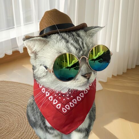Dog Cowboy Costume Pet Cowboy Hat for Pet Dogs Cat Cowboy Hat with Bandana Scarf Set Party Accessories (Black) in Saudi Arabia