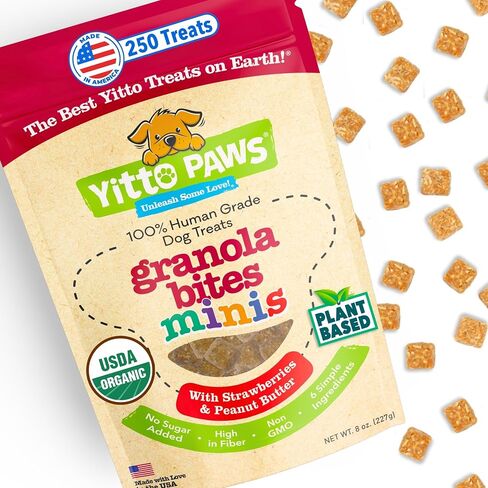 Crunchy Organic Blueberry Dog Treats, Oats & Peanut Butter Healthy Dog Treats, Vegan All Natural Dog Training Treats Made in USA Only – Low Calorie, Human-Grade, No Sugar Added Dog Biscuits in Saudi Arabia