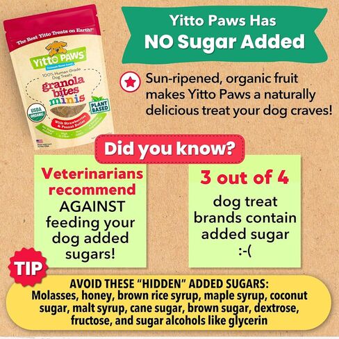 Crunchy Organic Blueberry Dog Treats, Oats & Peanut Butter Healthy Dog Treats, Vegan All Natural Dog Training Treats Made in USA Only – Low Calorie, Human-Grade, No Sugar Added Dog Biscuits in Saudi Arabia