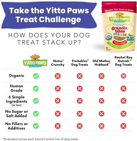 Crunchy Organic Blueberry Dog Treats, Oats & Peanut Butter Healthy Dog Treats, Vegan All Natural Dog Training Treats Made in USA Only – Low Calorie, Human-Grade, No Sugar Added Dog Biscuits in Saudi Arabia
