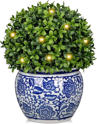 DILATATA Preserved Boxwood Ball in Blue and White Ceramic Pot, Boxwood in Planters Preserved Plant Topiary for Table Centerpiece Indoor Plant Home Decor in Kuwait
