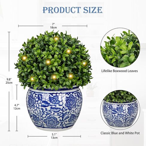 DILATATA Preserved Boxwood Ball in Blue and White Ceramic Pot, Boxwood in Planters Preserved Plant Topiary for Table Centerpiece Indoor Plant Home Decor in Kuwait
