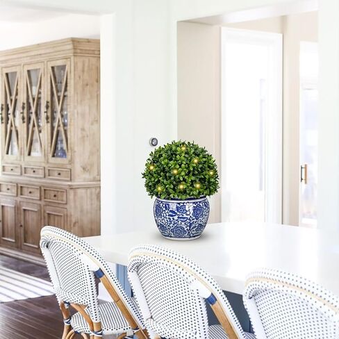 DILATATA Preserved Boxwood Ball in Blue and White Ceramic Pot, Boxwood in Planters Preserved Plant Topiary for Table Centerpiece Indoor Plant Home Decor in Kuwait