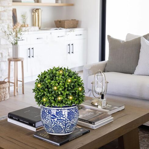 DILATATA Preserved Boxwood Ball in Blue and White Ceramic Pot, Boxwood in Planters Preserved Plant Topiary for Table Centerpiece Indoor Plant Home Decor in Kuwait