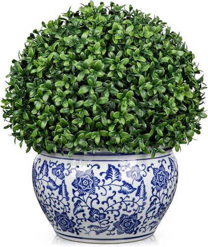 DILATATA Preserved Boxwood Ball in Blue and White Ceramic Pot, Boxwood in Planters Preserved Plant Topiary for Table Centerpiece Indoor Plant Home Decor in Saudi Arabia