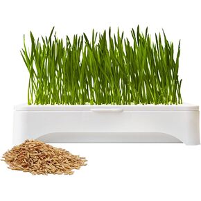 The Environet Cat Grass for Indoor Cats, Cat Grass Kit with Organic Seeds Mix and Hydroponic Sprout Tray, 100% Non-GMO, Hairball Control, Digestion Support, Ideal Gift for Cat Lovers