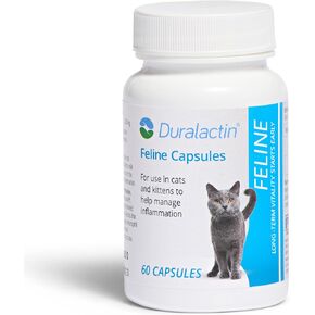PRN Pharmacal Duralactin Feline - Joint Health Supplement for Cats & Kittens Supports Chronic Soreness, Joint Health & Overall Wellness - Gelatin Capsules Containing Dried Milk Protein - 60 Capsules