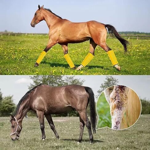 Horse Fly Protection Boots with Leather Frame, Mesh Leg Wraps for Pony and Mini Donkey, Set of 4 (Blue, M) in Saudi Arabia