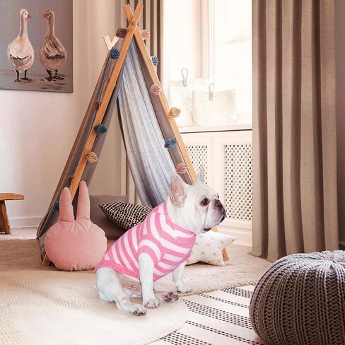 TONY HOBY Dog Sweater, Knitted Dog Sweater Shirts, Winter Dog Shirts Clothes for Small Medium Dog (Blue, M) in Saudi Arabia