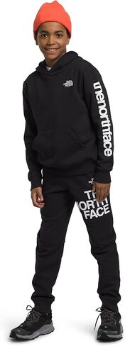 THE NORTH FACE Boys' Camp Fleece Pullover Hoodie, TNF Light Grey Heather/Radiant Poppy, Medium in Saudi Arabia