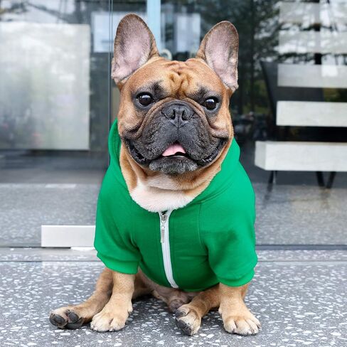 iChoue I am a French Bulldog Clothes Hoodies for Dogs Puppy Frenchie Pug English Boston Terrier Bully Pitbull Sweatshirt Sweater Clothing Cold Weather Winter Coats - Green/Medium in Saudi Arabia