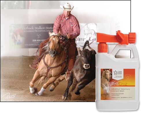 UltraCruz Veterinary Liniment Wash for Horses, 32 oz with Travel Spray (Pack of 2) in Saudi Arabia
