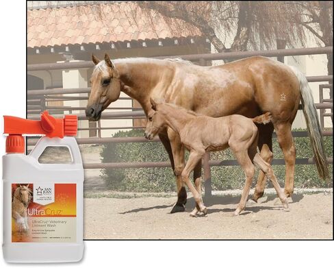 UltraCruz Veterinary Liniment Wash for Horses, 32 oz with Travel Spray (Pack of 2) in Saudi Arabia