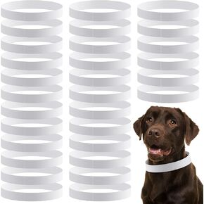 500 COUNT 20 '' Paper Paper Cog Pholics with Tear Resistant Whelping Paper Paper Papy ID Bands Deshesive Pet Tags for Newborn Dog Cat Animal Hospitals (White)