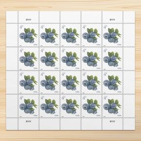 Blueberries 2022 4-Cent (Sheet of 20) Four-Cent Denominated Mail-use Additional Postage Stamps