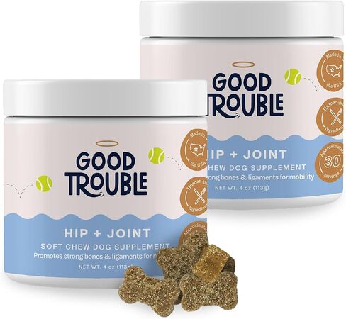 Good Trouble Pets Hip & Joint Supplement for Dogs - Bacon & Chicken Flavor, 30 Chews - Enhance Joint Health & Mobility for Your Canine Companion in Saudi Arabia