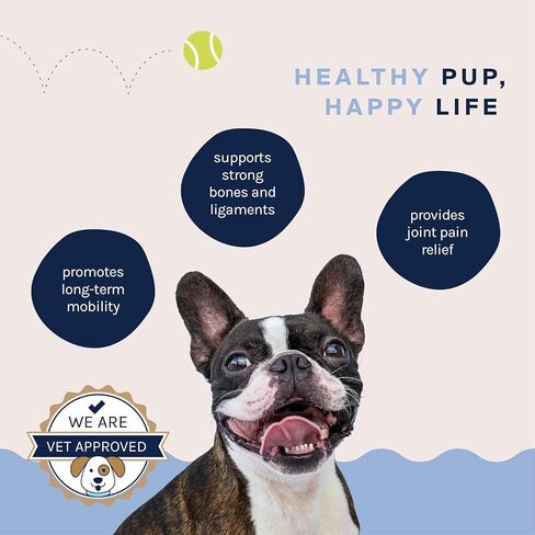 Good Trouble Pets Hip & Joint Supplement for Dogs - Bacon & Chicken Flavor, 30 Chews - Enhance Joint Health & Mobility for Your Canine Companion in Saudi Arabia
