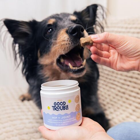 Good Trouble Pets Hip & Joint Supplement for Dogs - Bacon & Chicken Flavor, 30 Chews - Enhance Joint Health & Mobility for Your Canine Companion in Saudi Arabia