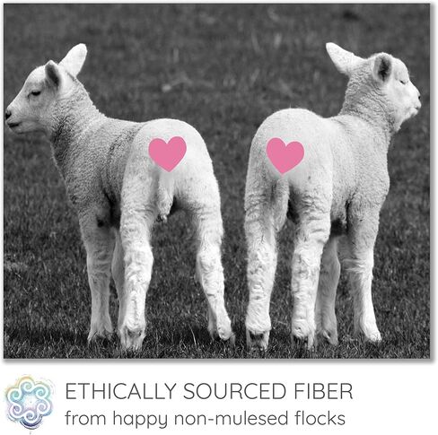 Super Dense Clean Wool Filler for Pillows, Stuffed Animals, Pouf, Pin Cushions, Crafting. 1LB, Natural White Dense in Saudi Arabia