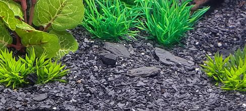 Small World Slate & Stone Aquarium Gravel - Natural Coarse Sand Substrate for Aquascaping Planted, Freshwater and Saltwater Tanks - Gravel Size Approx. 1/32" to 1/8" (6 lbs) in Kuwait