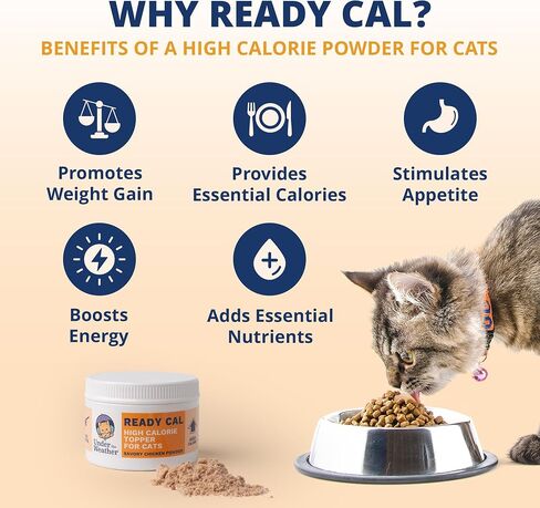 Under the Weather Ready Cal Powder for Dogs | High-Calorie Weight Gainer & Appetite Stimulant | Dog Energy Booster Veterinarian-Approved Pet Supplement with Vitamins & Minerals | Chicken Flavor |12 oz in Saudi Arabia