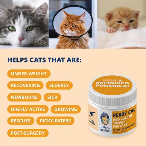 Under the Weather Ready Cal Powder for Dogs | High-Calorie Weight Gainer & Appetite Stimulant | Dog Energy Booster Veterinarian-Approved Pet Supplement with Vitamins & Minerals | Chicken Flavor |12 oz in Saudi Arabia