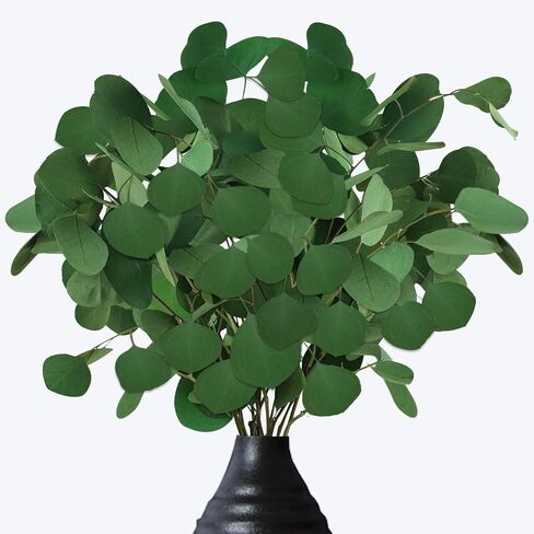 Preserved Dried Eucalyptus Stems, 7-10 Pcs Pure Natural Real Silver Dollar Leaves for Vase Filler, 15-17'' Fresh Eucalyptus Plant Branches for Wedding Home Greenery Décor (3.6oz) in Kuwait