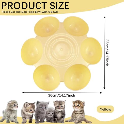 DOERDO Cat Feeding Bowl, Plastic Cat and Dog Food Bowl with 6 Bowls, Multiple Pet Dinner Feeder for Indoor Food and Water, Blue in Kuwait