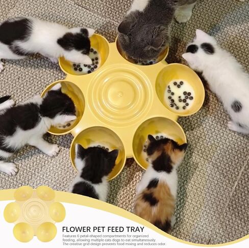 DOERDO Cat Feeding Bowl, Plastic Cat and Dog Food Bowl with 6 Bowls, Multiple Pet Dinner Feeder for Indoor Food and Water, Blue in Kuwait
