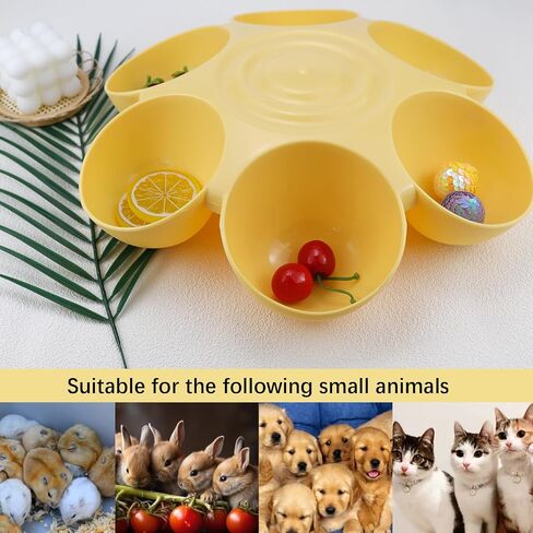 DOERDO Cat Feeding Bowl, Plastic Cat and Dog Food Bowl with 6 Bowls, Multiple Pet Dinner Feeder for Indoor Food and Water, Blue in Kuwait