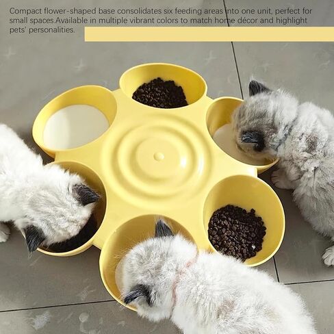 DOERDO Cat Feeding Bowl, Plastic Cat and Dog Food Bowl with 6 Bowls, Multiple Pet Dinner Feeder for Indoor Food and Water, Blue in Kuwait