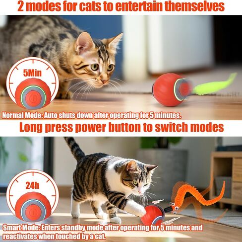 ألعاب Aiersa Cat للقطط البالغة الداخلية الملل ، لعبة Cat Tail Tail ، كرات ألعاب القطط الذكية التفاعلية ، ألعاب القطط المتحركة الأوتوماتيكية للقطط الداخلية ، ألعاب القطط ذاتية القطط مع 3 ذيول و 4 نوابض (زرقاء) in Kuwait