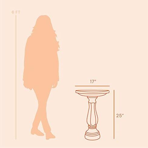 حمام الطيور الترويجي من بلوم 270-908 بقاعدة مقاس 25 بوصة × 17 بوصة، رمادي فحمي in Kuwait