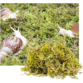 4oz Moss for Pet Snails, Ideal for Maintain The Humidity Levels in Tank