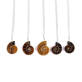 Ammonite Gemstone Pendant, Handmade Necklace, Healing Polished Stone, Natural Chakra Crystal, 925 Sterling Silver 18 inch, Birthday, Wedding, Anniversary Gift